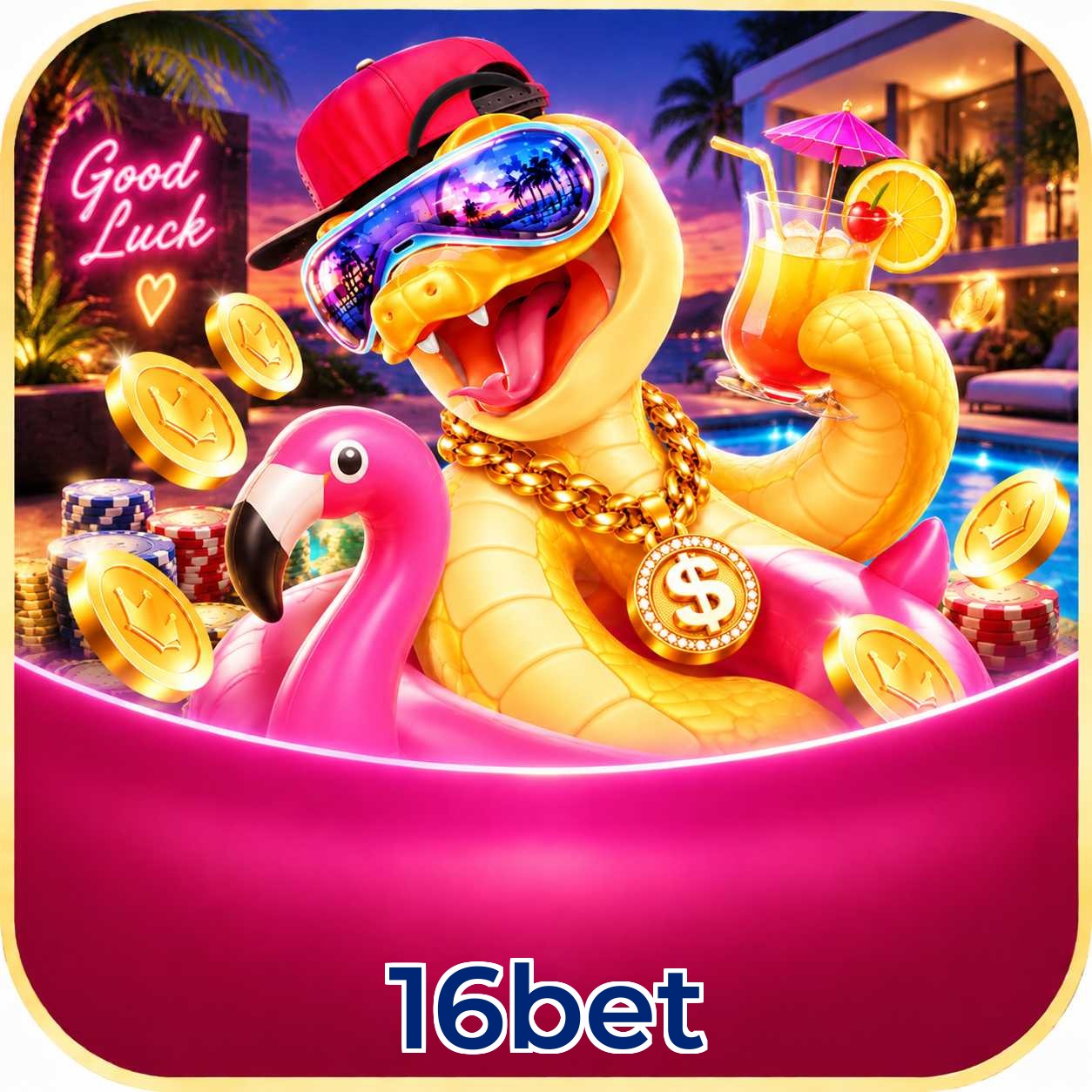 Pacote Completo do App 16bet